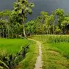 Richard Dackouo - @richarddackouo949 - TikTok