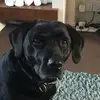 richarddack - @richarddack - TikTok