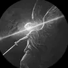 richard_dame - @richard_dame - TikTok