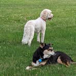 Richard Dashner - Facebook