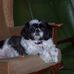 Richard Deakin - Facebook