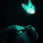 Richard - @richard__death - Instagram