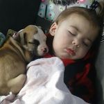 Richard DeCoster - @decosterrichard - Instagram