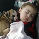 Richard DeCoster - @decosterrichard - Instagram