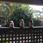 Richard Denman - @astro19662023 - Instagram