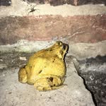 Richard Dennett - @richard_dennett - Instagram