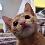 richarddeonanan - @richarddeonanan - Instagram