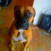 Richard Dipalma - Facebook