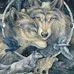 Richard Dishaw - Facebook