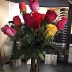 Jay Arnold - @richard_donnel_fox890 - Instagram