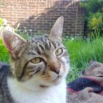 Richard Donnelly - @richard.donnelly.77 - Instagram