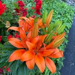 Richard Downs - @downs5104 - Instagram