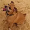richarddrayton493 - @richarddrayton493 - TikTok