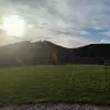 Richard Drexler - @richard.drexler6 - TikTok