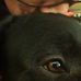 Richard Dulin - Facebook