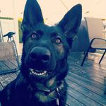 Richard Dumais - @richardreddumais - Instagram