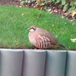 Richard Eade - @eade_richard - Instagram
