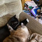 Richard Eanes - @byroneanes - Instagram