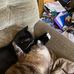 Richard Eanes - Facebook