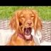 Richard Eardley - Facebook