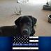 Richard Easley - Facebook