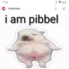i m pibbel - @richardeckhardt6 - TikTok