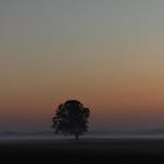 Richard - @richard__eckerson - Instagram