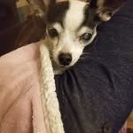 Richard Eckard - @richardeckard - Instagram