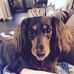 Richard Eckberg - Facebook