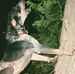 Richard Edinger - Facebook