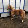 Richard Eggert - @richardeggert0 - TikTok