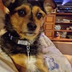 Richard Eickhoff - Facebook