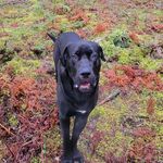 Richard Eilers - @70littleblacktank07 - Instagram