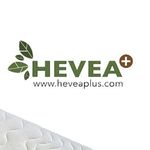 Richard Eisel - @heveaplus_official - Instagram