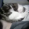 Richard Eisold - @richard.eisold3 - TikTok