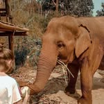 Richard Ellingham - @richardellingham9 - Instagram