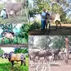 Richar De Los Santos D L S - @richar.de.los.san3 - TikTok