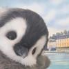 richardemard167830 - @richardemard167830 - TikTok