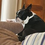 Richard Endean - @richend2021 - Instagram