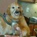 Richard Enger - Facebook