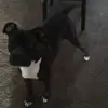 Richard Lensey - @richard.lensey - TikTok