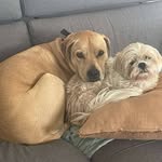 RichardEnsor - @richardensor77 - Instagram