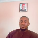 Richard Ephraim Emelogu - @richie.alvin - Instagram