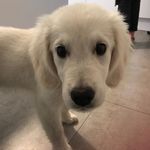 richard erhard - @einrichard - Instagram