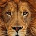 Richard Orrante - Facebook