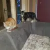 Richard Driessen - @richard.driessen - TikTok