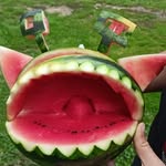 Richard Van Essen - @gartenhaus1123 - Instagram