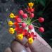 Egler Devis Richard - Facebook