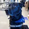 evan.richardson0 - @evan.richardson0 - TikTok