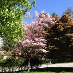 Richard Evert - @rothko4112 - Instagram